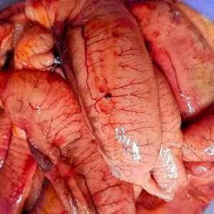 ৩ কেজি ইলিশের ডিম